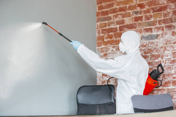 Best Biohazard Mold Removal  in Cumberland, IN