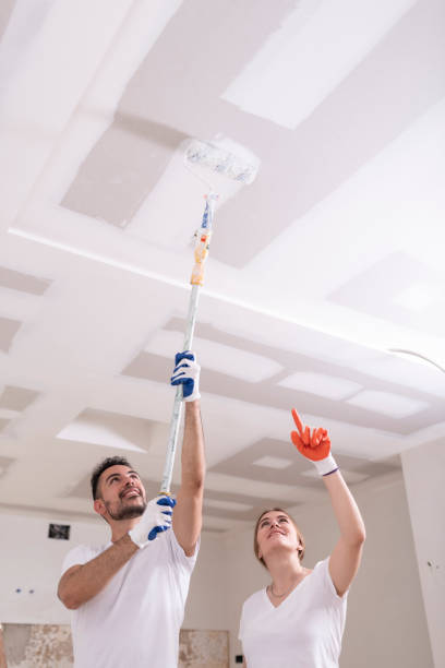 Best Mold Odor Removal Services  in Cumberland, IN