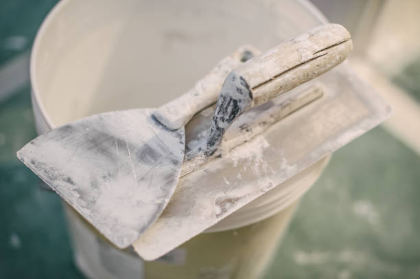 Best Mold Damage Restoration  in Cumberland, IN